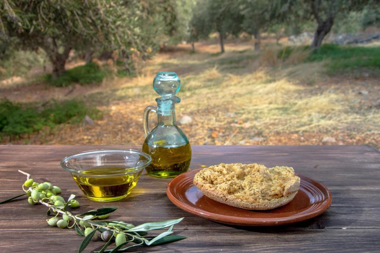 Aggel'S House - Stone House - Private Pool - Courtyard - Countryside Views Βίλα Kato Episkopi Εξωτερικό φωτογραφία